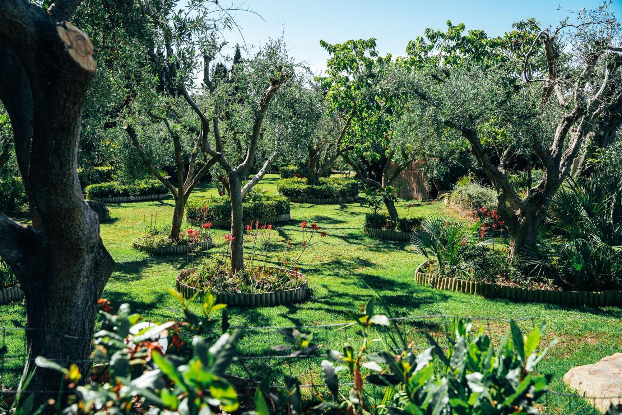 Residence Solemaremma Castiglione della Pescaia Luaran gambar