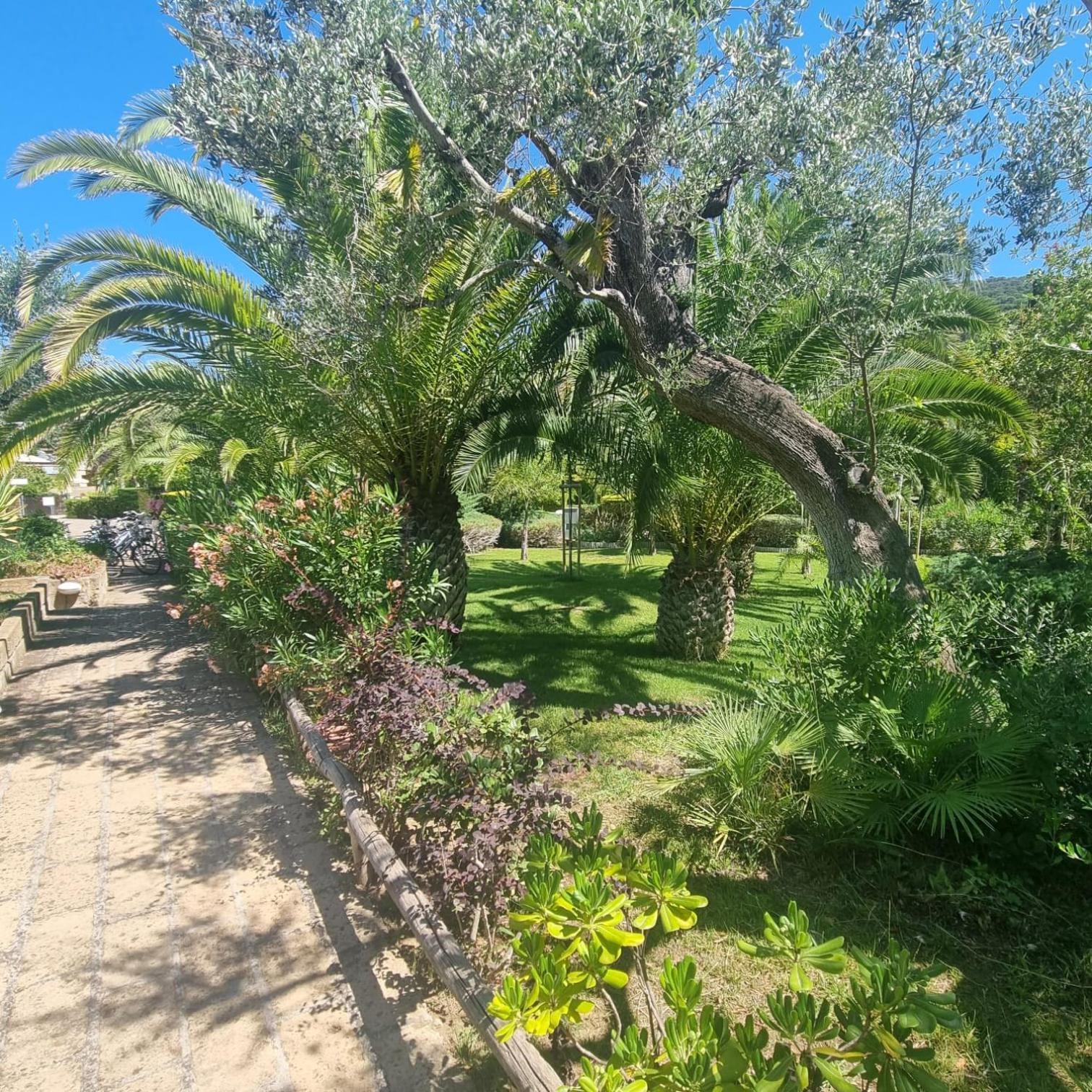 Residence Solemaremma Castiglione della Pescaia Luaran gambar
